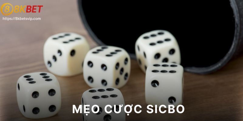 Tổng quan về trò chơi tài xỉu