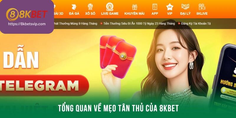 Tổng quan về mẹo tân thủ của 8kbet
